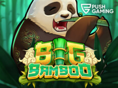 Casino panda slots12